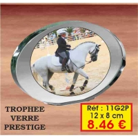 TROPHEE VERRE PRESTIGE PERSONNALISE : REF. 11G2P - 12 x 8 CM